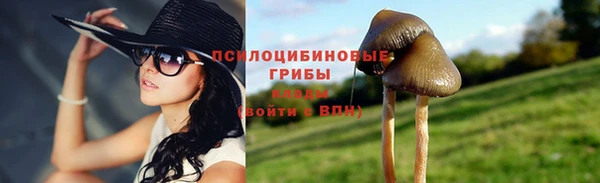 гашик Армянск