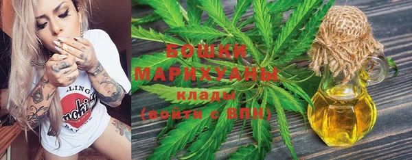 трава Гвардейск