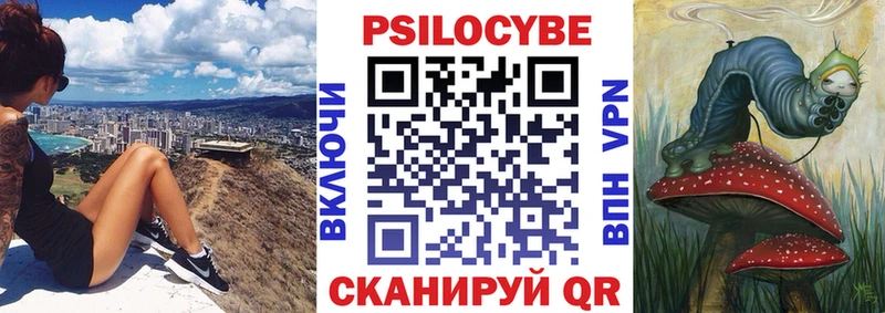 Псилоцибиновые грибы Psilocybe Кукмор